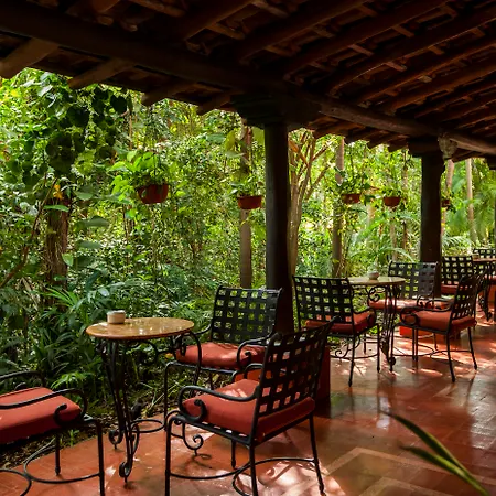 Occidental Cozumel-3