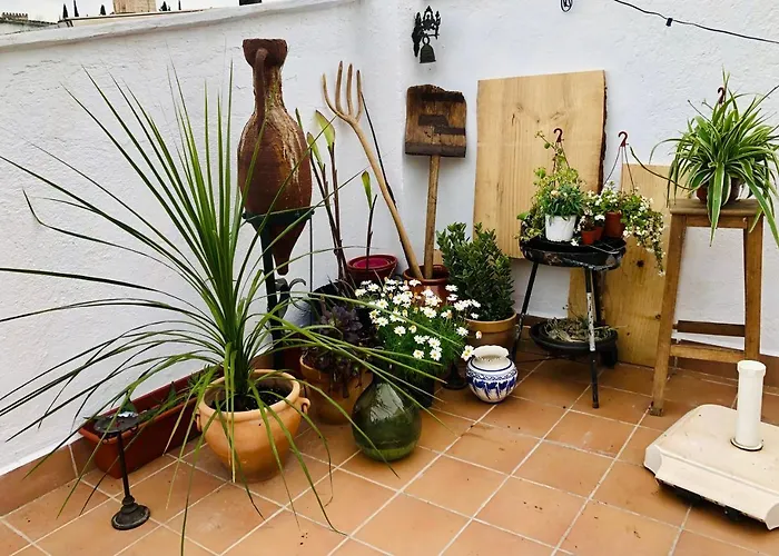 Alquiler de vacaciones: Casa Guidai