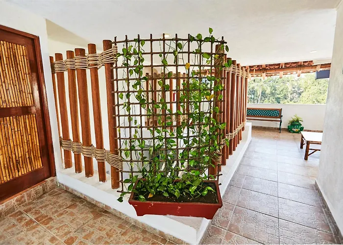 Suites Ixtapa Plaza