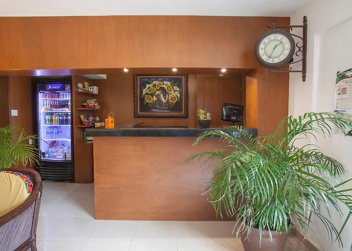 Perros hoteles Colonial Cancun