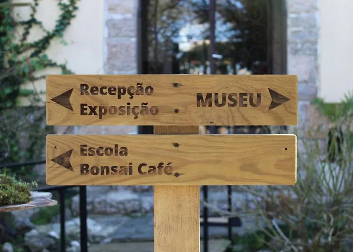 Zen Guest House - Museu Do Bonsai