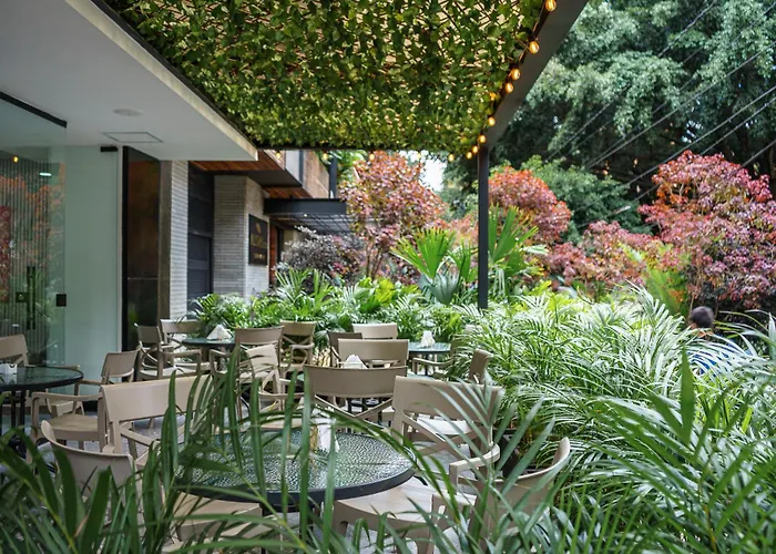 Hotel boutique: First Class Hotel