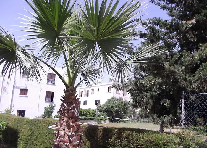 Hotel: Kefalonitis Hotel Apartments