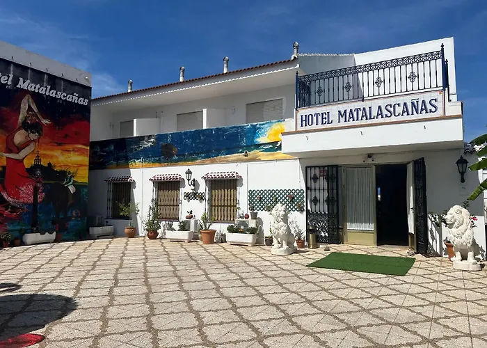 Hotel que admite mascotas: Hotel Matalascañas