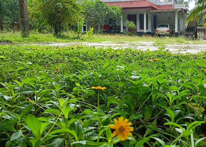 Angels' Homestay Marari