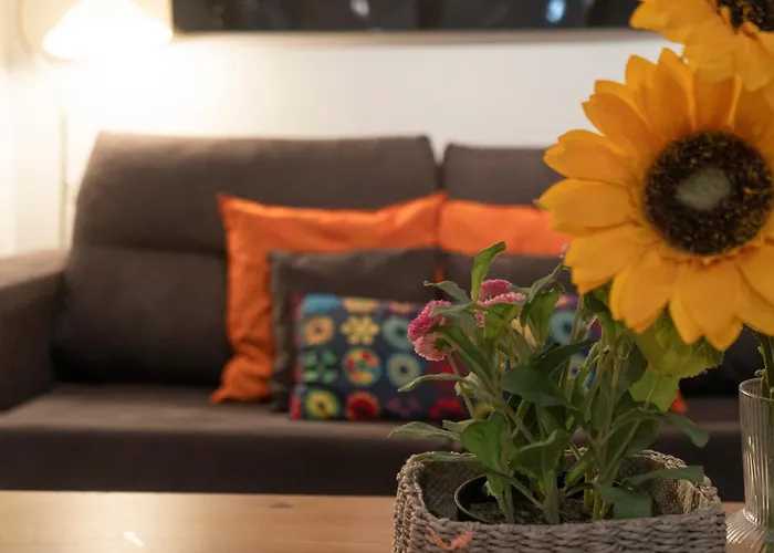 Hotel cerca del colegio: Gran Via Alaia Seasonal Living
