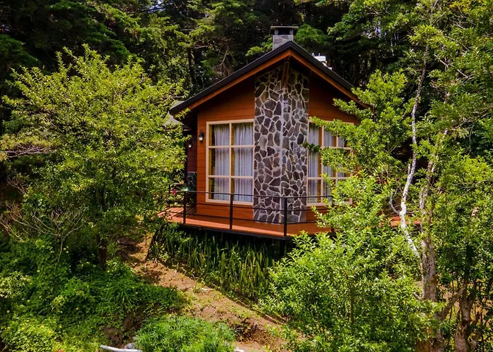 Los Pinos Cabins&Reserve