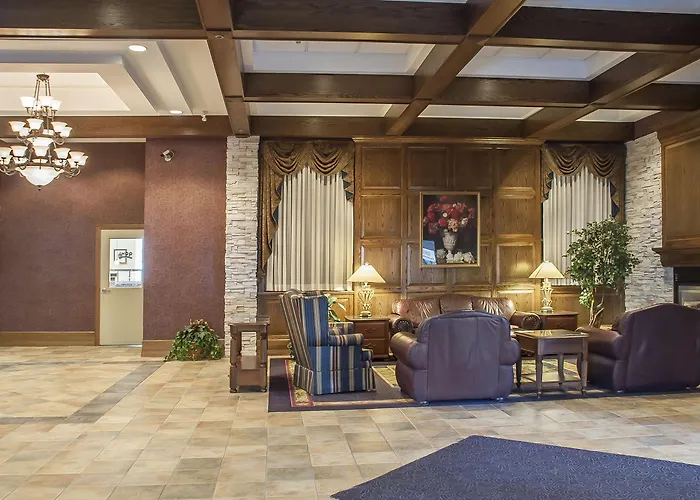 Motel: Comfort Inn Lundy'S Lane