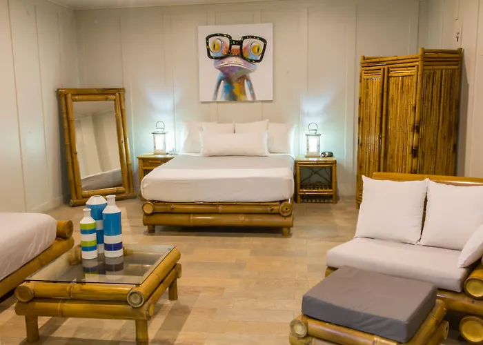 Hotel céntrico: Hotel Plaza Yara