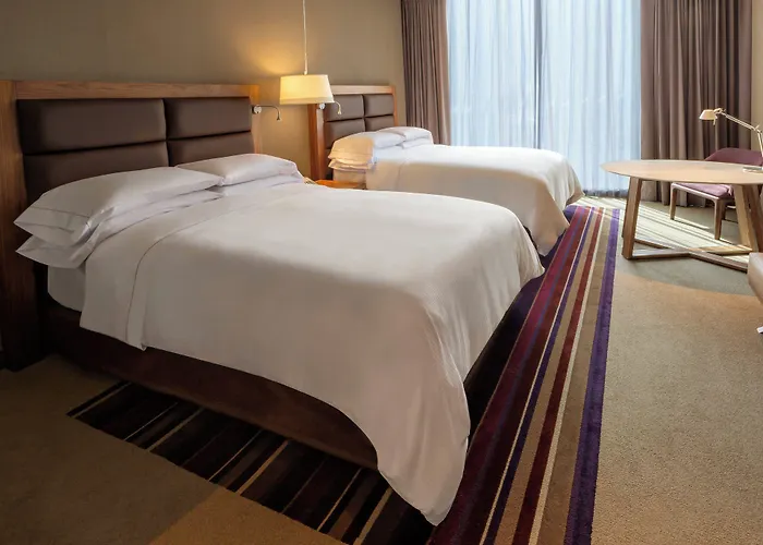 Perros hoteles Fiesta Americana Ciudad De Mexico Toreo