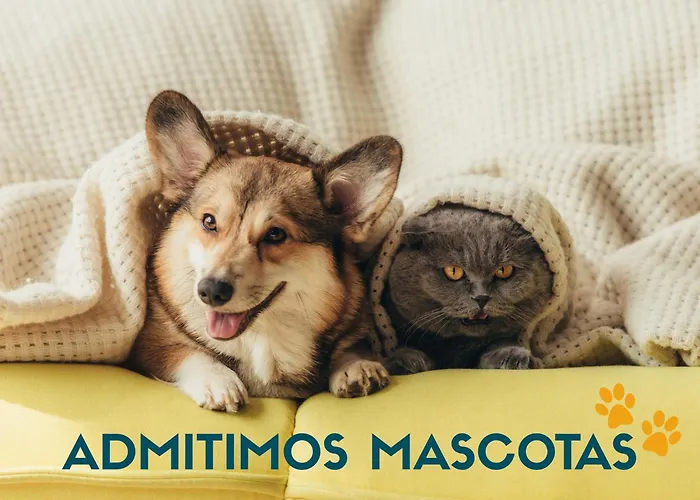 Alquiler de vacaciones: Apartamentos Realejo Granada Centro 3000