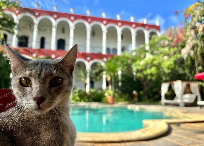  Villa Merida Boutique - Adults Only