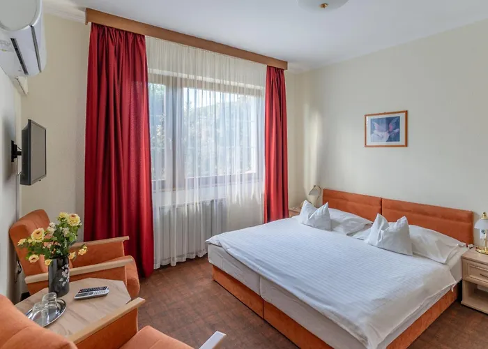 Hotel familiar: Hotel Molnár