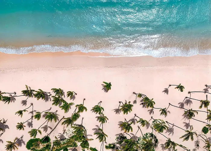  Hyatt Vivid Punta Cana - Adults-Only All-Inclusive