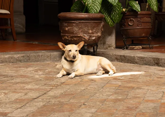 Hotel Posada San Agustin