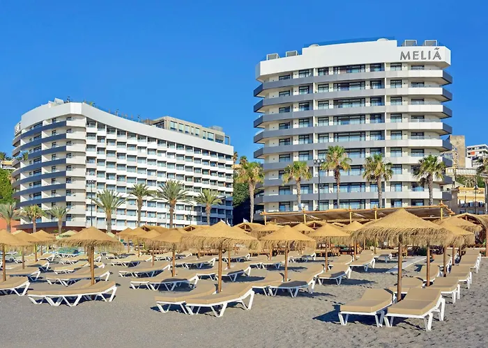 Hotel que admite mascotas: Melia Costa Del Sol