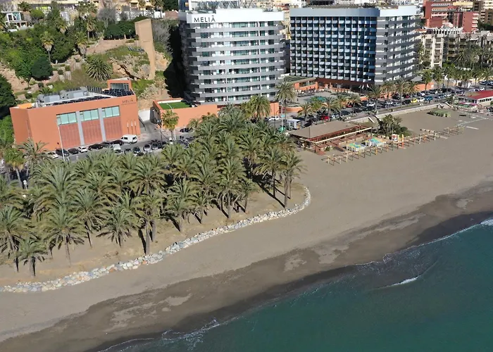 Hotel que admite mascotas: Melia Costa Del Sol