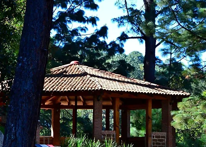 Bosque La Luna