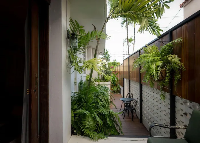  Casa Botanica