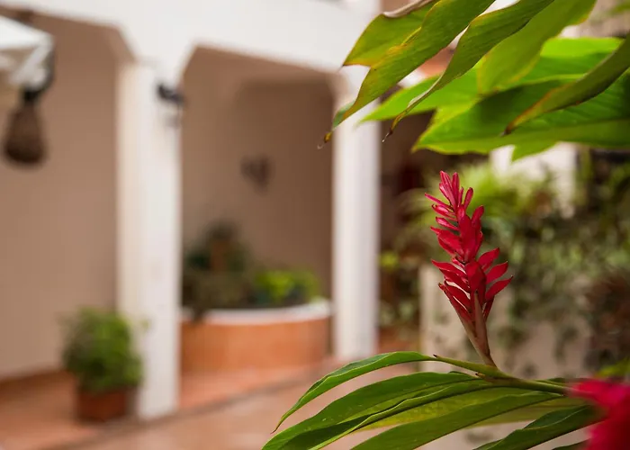 Posada Kin