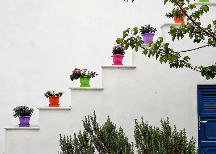 Dedalos Studios Naxos