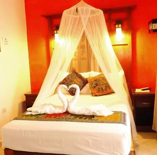 Albergue: Casa Adriana